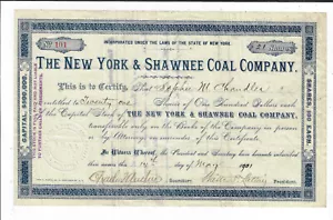 NEW YORK 1901 New York & Shawnee Coal Company Stock Certificate - Picture 1 of 2