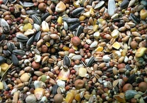PECKERS Bird Feed Food Garden Mix Wild Bird 20kg - Picture 1 of 1