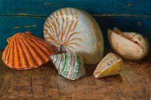 original oil painting a day still life realism seashells 12x8" Y Wang Fine Art - Picture 1 of 1