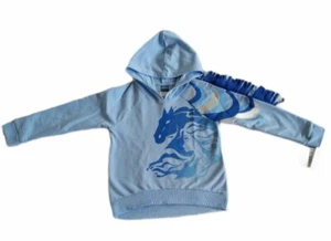 Disney Frozen II Girls French Terry Blue Hoodie with Fringe Size 5 - Picture 1 of 4