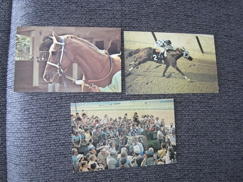 SECRETARIAT POSTCARDS SET 3 HEADSHOT , STRETCH RUN, BELMONT STAKES WINNER CIRCLE Cover