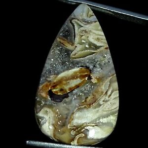 16.90 Cts Natural Rock Calci Agate Loose Gemstone Pear Cabochon 16X29X5MM