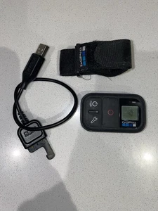 GoPro Remote Control - Picture 1 of 1