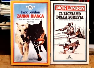 Lotto 2 libri CLASSICI PER RAGAZZI - LONDON - ZANNA BIANCA - RICHIAMO FORESTA - Imagen 1 de 1