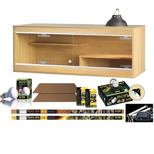 parlor palm safe for cats