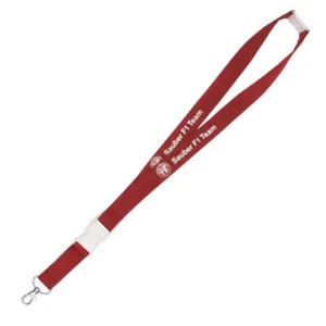 Sauber F1 Alfa Romeo Team Lanyard - Picture 1 of 1