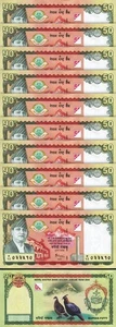 Nepal 50 Rupees 2005, UNC, 10 Pcs LOT, Commemorative, Golden Jubile P-52 - Picture 1 of 5