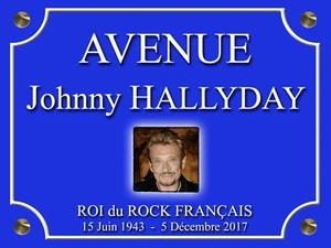 RÉPLIQUE PLAQUE RUE AVENUE Johnny HALLYDAY 30X20cm ALU - Picture 1 of 1