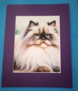 11" x 14" Matted 8" x 10" Print Painting of Blue Eyed Persian Kitty Cat - Picture 1 of 3