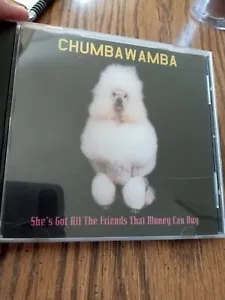 CHUMBAWAMBA She's Got All The Friends Money Can Buy CD (PROMO Single) - Picture 1 of 3