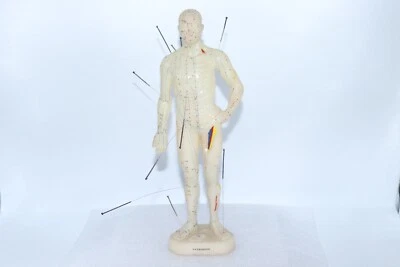 Muñeca modelo acupuntura acupresión notación china Foto 1 de 4