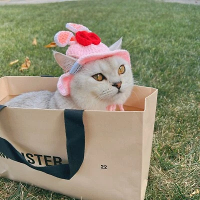 Chapéus de crochê coelho rosa para gatos e cães pequenos/chapéu de gato de malha - Imagem 1 de 4