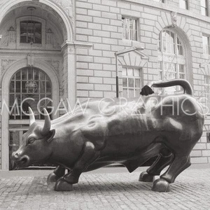 Wall Street Bull Positive Outlook, Erin Clark, Decor Art Print  12" x 12"  1349 - Picture 1 of 2