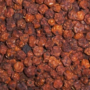 Ebereschenbeeren 750 g Vogelbeeren als Vogelfutter oder Nagerfutter Wildvögel - Bild 1 von 1