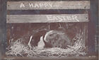 1910S Rp Postcard Happy Easter With Two Live Rabbits In Hutch