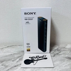 SONY WALKMAN 64GB Hi-Res ZX Series Audio Player NW-ZX507 Silver Black New - Picture 1 of 7