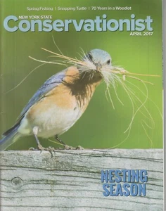 New York State Conservationist April 2017 Nesting Season (Magazine: Conservation - Picture 1 of 1