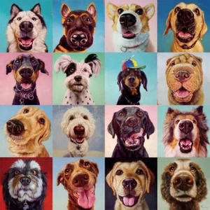 Buffalo Games  Art of Play  Follow Your Nose  300 Piece Jigsaw Puzzle New - Picture 1 of 2