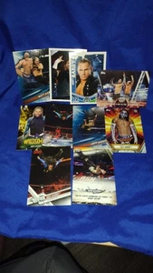 WWE WWF TNA MATT HARDY 10 KARTEN LOT INSERTS JEFF HARDY BOYZ LITA - Bild 1 von 1