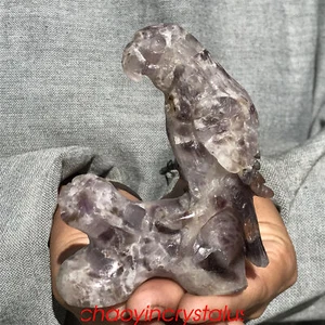 0.41LB Natural Dreamy Amethyst parrot Skull Quartz Crystal Carved XK1434-05-A - Picture 1 of 12