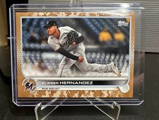 Elieser Hernandez 2022 Topps Series One Memorial Day Camo #'d /25 Marlins