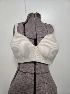 Cacique T-Shirt Simply Wire Free Spitze Streifen Ivory Lane Bryant Gr. 44C - Bild 1 von 8