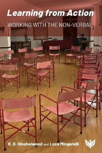 Luca Mingarelli Learning from Action (Poche) - Photo 1/1