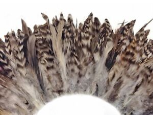 4 Inch Strip - Natural Grey Chinchilla Strung Rooster Schlappen Feathers Costume