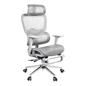 Ergonomic Mesh Office Chair w/ 3D Armrests,High Back, Wheels Office Ergo3D Grey - Picture 1 of 9