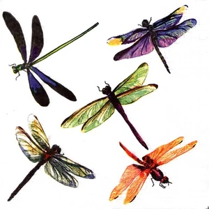 Libellen Libellen Papierservietten. Pappservietten Libelle Libellen - Bild 1 von 1