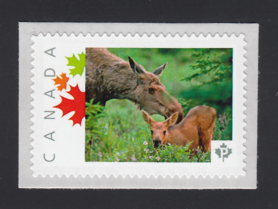 lq. BABY MOOSE = BECERRO = Foto sello postal MNH Canadá 2014 [p6ab4/4] Foto 1 de 2