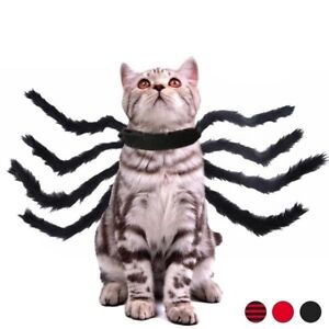 Déguisement pour chat et chien araignée géante Costume animal noir