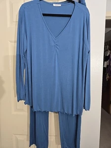 Womens Blue PJ Set Sz XL Buttery Soft Silky Feel Long Sleeve & Pants - Picture 1 of 7