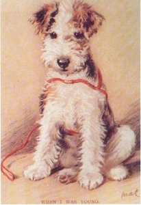 Fox Terrier Pup - CUSTOM MATTED - Dog Art Print - Lucy Dawson NEW - Picture 1 of 1