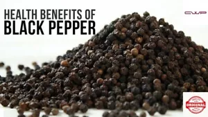 Peppercorn Organic Ceylon Black Pepper A+grade Whole Herbs home made Tellicherry - Picture 1 of 2