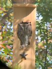 Owl House Nesting box -  owl shaped opening - screech owl house Unique gift Idea