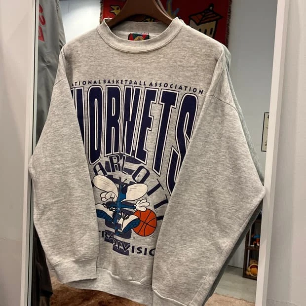 Sudadera Charlotte Hornets Baloncesto Años 90 Diseño Raro Ceniza Cuello Redondo RM1238 Foto 1 de 1