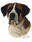 Saint Bernard Dog Robert May Art Greeting Card Set of 6