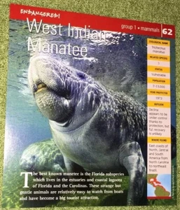 Endangered Animals Card - Mammal - West Indian Manatee #62 - Picture 1 of 2