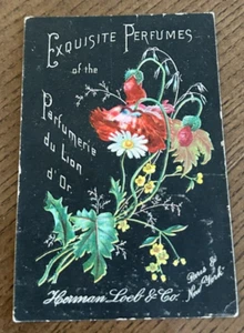 1880's Victorian Squisite Perfumes Herman Loeb & Co. New York City Trade Card - Foto 1 di 3