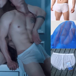 Men Mesh Boxer See Through Shorts Breathable Underpants Lingerie Split Soft Sexy - Picture 1 of 17