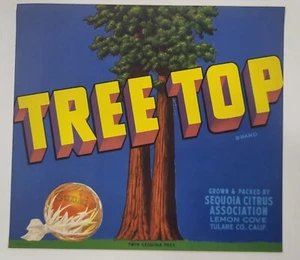 LABEL Tree Top Citrus Lemon Cove California - Picture 1 of 1