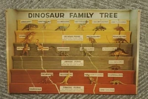 Dinosauro albero genealogico al dinosauro monumento nazionale Utah cartolina - Foto 1 di 2