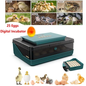 Digital Incubator Chick Egg Hatcher Fully Automatic Turning Temperature Control - Picture 1 of 7