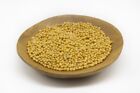 BULK 1 KG Mustard Seed Yellow Organic - Brassica nigra - Free Postage