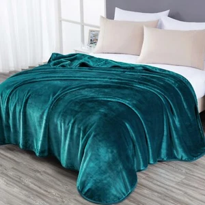 Chezmoi Collection Heavy Thick One Ply Faux Korean Mink Blanket Asia / US King - Picture 1 of 40