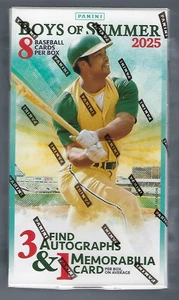 2025 PANINI BOYS OF SUMMER BASEBALL HOBBY BOX FACTORY SEALED - Picture 1 of 1
