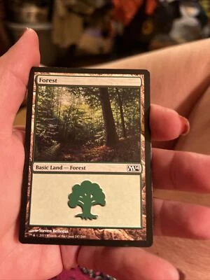 Magic The Gathering Trading card MTG Forest Basic Land 247/249 - Image 1 of 2