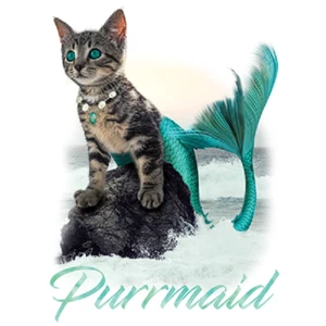 Purrmaid Katze Tshirt Größen/Farben Meerjungfrau Katze - Bild 1 von 2