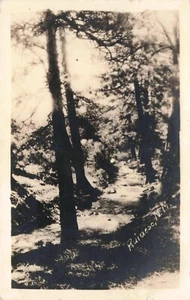 RPPC Ruidoso New Mexico Maybe a Stream or Path Thru Woods Real Photo Postcard - Picture 1 of 3